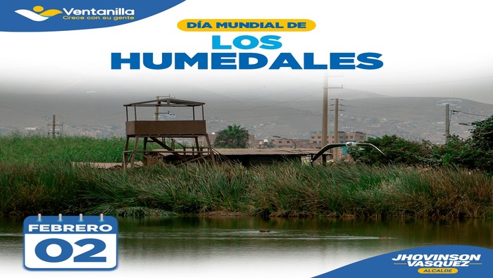  La Municipalidad de Ventanilla y nuestro alcalde 𝐉𝐡𝐨𝐯𝐢𝐧𝐬𝐨𝐧 𝐕𝐚𝐬𝐪𝐮𝐞𝐳, se suman a la celebración del ‘Día Mundial de los Humedales’, una fecha que busca generar conciencia sobre la importancia de estos ecosistemas para las personas y el planeta. En Ventanilla tenemos estos ‘espejos de agua’ que son fundamentales para el equilibrio del hábitat de nuestro distrito, además son un entorno de especies animales y vegetales que forman parte de una vía turística atractiva para los visitantes.