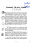Vista preliminar de documento RER 007-2024-GOB