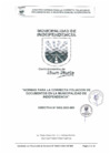 Vista preliminar de documento DIRECTIVA N° 0002-2023-MDI