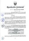 Vista preliminar de documento RESOLUCION N° 42-2024-PECHP