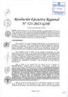 Vista preliminar de documento RER 523-2023-GOB