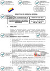 Vista preliminar de documento 01 2024-02-05 Directiva N° DGG-04-GAF-2024