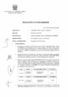 Vista preliminar de documento RESOLUCION N° 914-2023-MINEM-CM