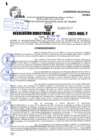Vista preliminar de documento R.D 01919-2023