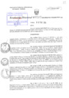 Vista preliminar de documento RD N°0015