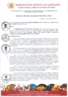 Vista preliminar de documento RDA010-2024