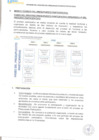 Vista preliminar de documento Fases del Proceso-presupuesto-participativo-2024_-20-21