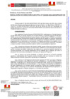 Vista preliminar de documento RDE029