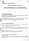 Vista preliminar de documento  REGLAMENTO DEL COMITE DEL VIGILANCIA Y CONTROL 