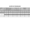 Vista preliminar de documento Matriz de Prioridades PP 2012