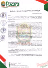 Vista preliminar de documento RESOLUCIÓN DE GERENCIA MUNICIPAL N° 003-2024-MDP/GM