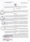 Vista preliminar de documento RD N°0017