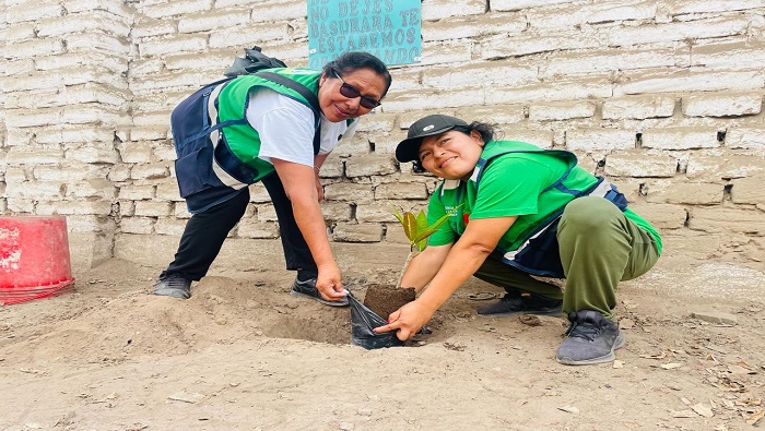 reforestaci贸n de punto critico
