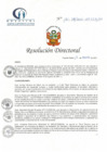 Vista preliminar de documento RD N° 131-08-2021-HCLLH-SA