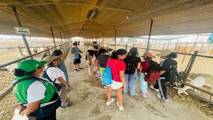 visita guiada