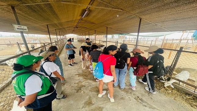 visita guiada