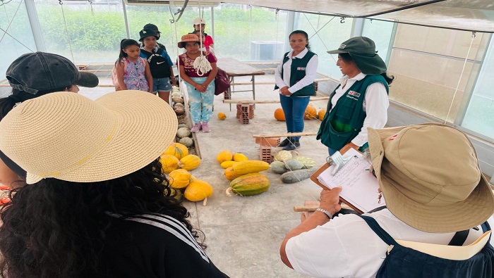 visita guiada