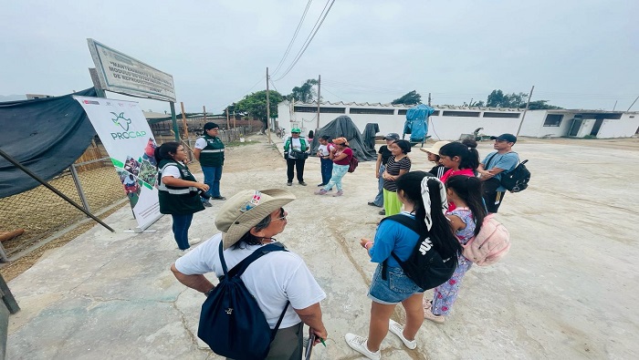 visita guiada