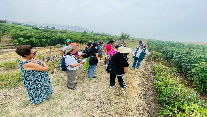 visita guiada