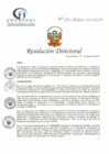 Vista preliminar de documento RD N° 137-08-2021-HCLLH-SA