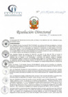 Vista preliminar de documento RD N° 147-09-2021-HCLLH-SA