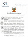 Vista preliminar de documento RD N° 155-09-2021-HCLLH-SA