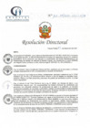 Vista preliminar de documento RD N° 162-09-2021-HCLLH-SA