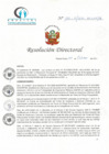 Vista preliminar de documento RD N° 166-10-2021-HCLLH-SA