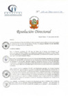 Vista preliminar de documento RD N° 169-10-2021-HCLLH-SA