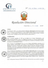 Vista preliminar de documento RD N° 175-10-2021-HCLLH-SA