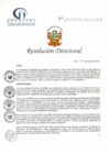 Vista preliminar de documento RD N° 177-10-2021-HCLLH-SA