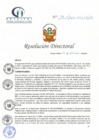 Vista preliminar de documento RD N° 179-11-2021-HCLLH-SA