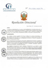 Vista preliminar de documento RD N° 181-11-2021-HCLLH-SA