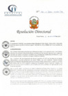 Vista preliminar de documento RD N° 183-11-2021-HCLLH-SA