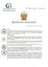 Vista preliminar de documento RD N° 185-11-2021-HCLLH-SA