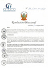Vista preliminar de documento RD N° 188-11-2021-HCLLH-SA
