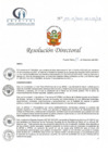 Vista preliminar de documento RD N° 197-12-2021-HCLLH-SA