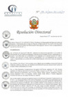 Vista preliminar de documento RD N° 199-12-2021-HCLLH-SA