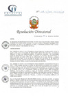 Vista preliminar de documento RD N° 208-12-2021-HCLLH-SA