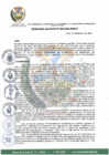 Vista preliminar de documento O.M. N°003-2024-MDM