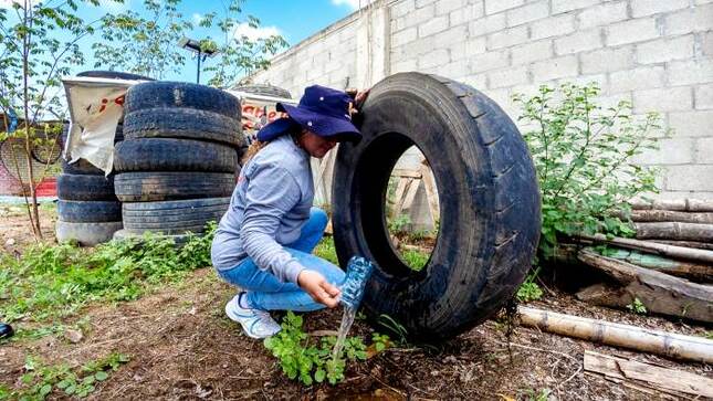 GORE trabaja en conjunto para eliminar criaderos de zancudos en Chulucanas