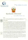 Vista preliminar de documento RD N° 16-01-2020-HCLLH-SA