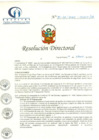 Vista preliminar de documento RD N° 30-02-2020-HCLLH-SA