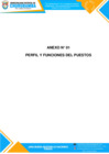 Vista preliminar de documento ANEXO 1 - PERFILES DE PUESTO