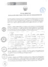 Vista preliminar de documento RD 262 DG 2023 FE