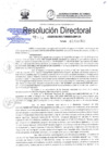 Vista preliminar de documento Resolución Directoral N114-2023GRT-DRP-DR_02Ago2023