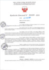 Vista preliminar de documento RD Nº000253 05-02-202420240207