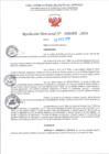 Vista preliminar de documento RD Nº000262 05-02-202420240208