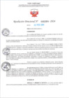 Vista preliminar de documento RD Nº000264 05-02-202420240208