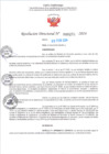 Vista preliminar de documento RD Nº000271 05-02-202420240208